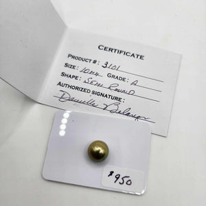 Civa Fiji Saltwater Pearl with Grade Certificate #3101- FJD$