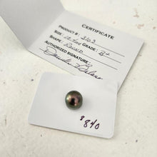 Load image into Gallery viewer, Civa Fiji Saltwater Pearl with Grade Certificate #3103 - FJD$
