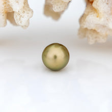 Load image into Gallery viewer, Civa Fiji Saltwater Pearl with Grade Certificate #3104- FJD$
