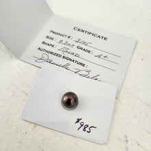 Load image into Gallery viewer, Civa Fiji Saltwater Pearl with Grade Certificate #3105 - FJD$
