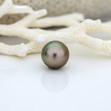 Load image into Gallery viewer, Civa Fiji Saltwater Pearl with Grade Certificate #3106 - FJD$
