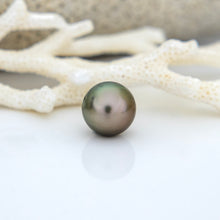 Load image into Gallery viewer, Civa Fiji Saltwater Pearl with Grade Certificate #3106 - FJD$
