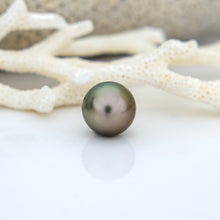 Load image into Gallery viewer, READY TO SHIP Civa Fiji Saltwater Pearl Trio Necklace - 14k Gold Fill FJD$
