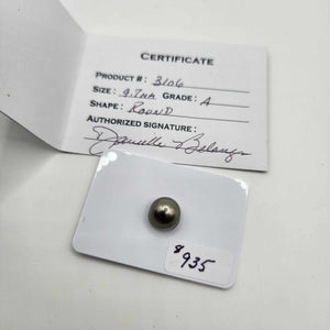 Civa Fiji Saltwater Pearl with Grade Certificate #3106 - FJD$