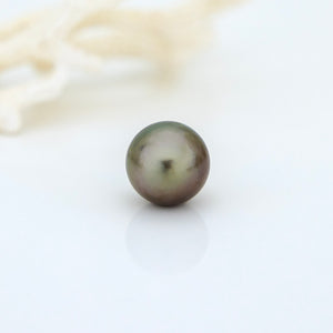 Civa Fiji Saltwater Pearl with Grade Certificate #3106 - FJD$