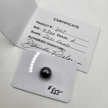 Load image into Gallery viewer, Civa Fiji Saltwater Pearl with Grade Certificate #3107- FJD$
