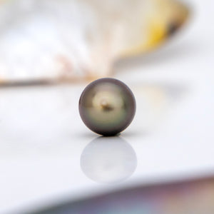 Fiji Loose Saltwater Pearl with Grade Certificate #3135 - FJD$