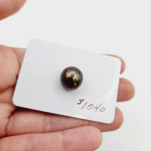 Load image into Gallery viewer, Fiji Loose Saltwater Pearl with Grade Certificate #3139 - FJD$
