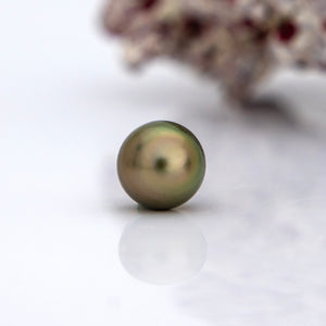 Fiji Loose Saltwater Pearl with Grade Certificate #3140 - FJD$