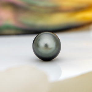 Fiji Loose Saltwater Pearl with Grade Certificate #3148 - FJD$