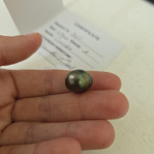 Load image into Gallery viewer, Fiji Loose Saltwater Pearl with Grade Certificate #3151 - FJD$
