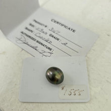 Load image into Gallery viewer, Fiji Loose Saltwater Pearl with Grade Certificate #3151 - FJD$
