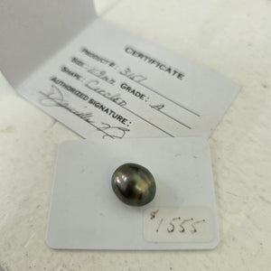 Fiji Loose Saltwater Pearl with Grade Certificate #3151 - FJD$