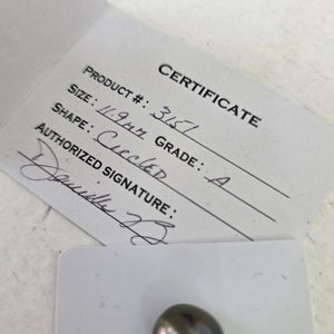 Fiji Loose Saltwater Pearl with Grade Certificate #3151 - FJD$