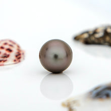 Load image into Gallery viewer, Fiji Loose Saltwater Pearl with Grade Certificate #3162 - FJD$
