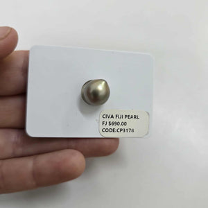 Fiji Loose Saltwater Pearl with Grade Certificate #3178 - FJD$
