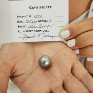 Fiji Loose Saltwater Pearl with Grade Certificate #3182 - FJD$