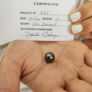 Fiji Loose Saltwater Pearl with Grade Certificate #3185 - FJD$