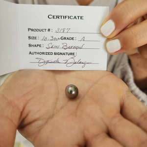 Fiji Loose Saltwater Pearl with Grade Certificate #3187 - FJD$