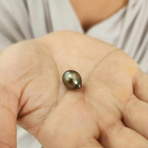 Fiji Loose Saltwater Pearl with Grade Certificate #3188 - FJD$