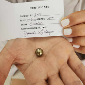 Fiji Loose Saltwater Pearl with Grade Certificate #3189 - FJD$