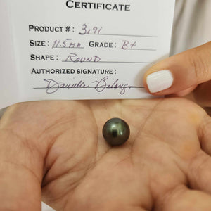 Fiji Loose Saltwater Pearl with Grade Certificate #3191 - FJD$