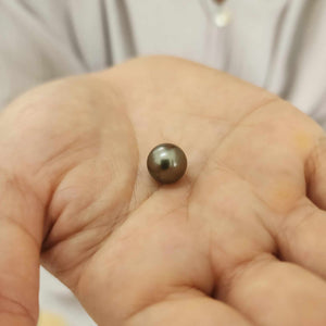 Fiji Loose Saltwater Pearl with Grade Certificate #3192 - FJD$