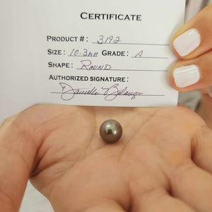 Fiji Loose Saltwater Pearl with Grade Certificate #3192 - FJD$