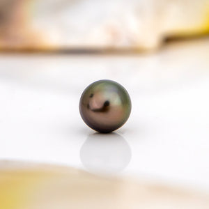 Fiji Loose Saltwater Pearl with Grade Certificate #3251 - FJD$