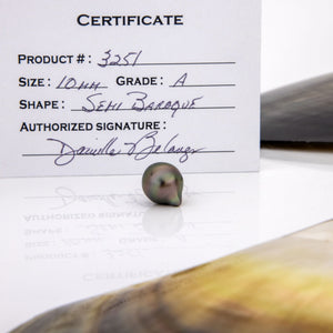 Fiji Loose Saltwater Pearl with Grade Certificate #3251 - FJD$