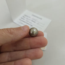 Load image into Gallery viewer, Fiji Loose Saltwater Pearl with Grade Certificate #3255 - FJD$
