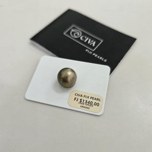 Fiji Loose Saltwater Pearl with Grade Certificate #3255 - FJD$