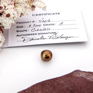 Fiji Loose Saltwater Pearl with Grade Certificate #4006 - FJD$