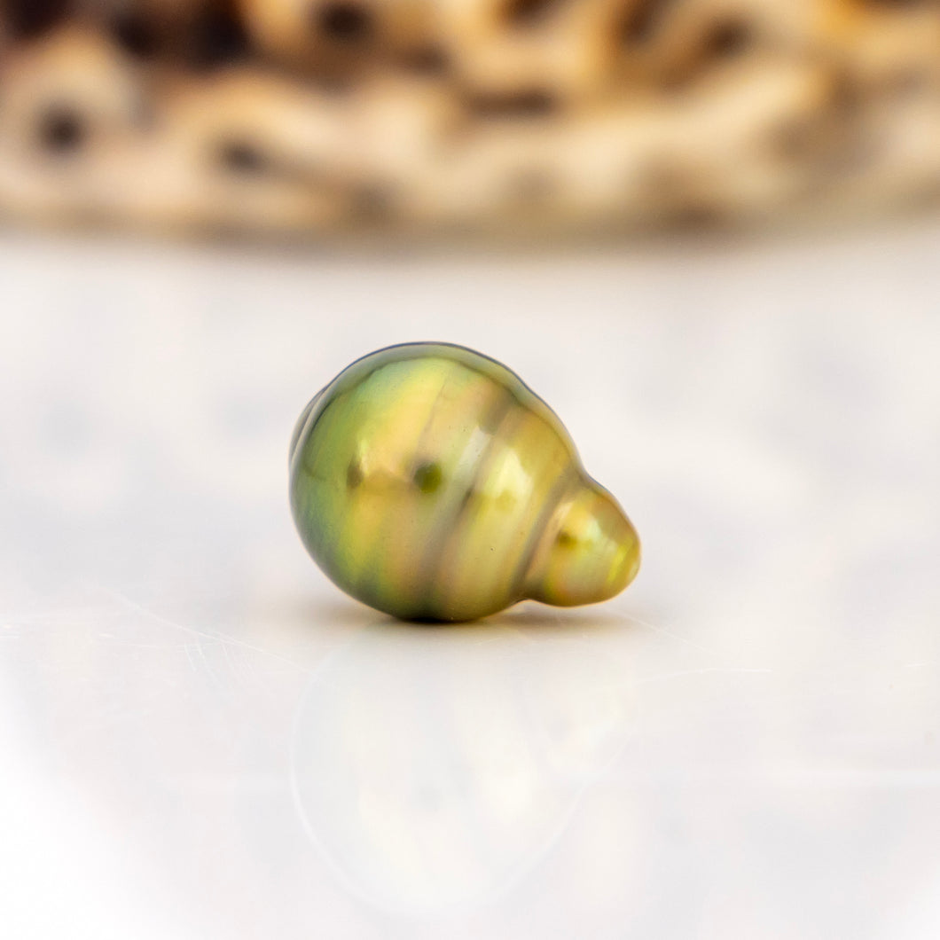 Fiji Loose Saltwater Pearl with Grade Certificate #4047 - FJD$