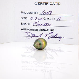 Fiji Loose Saltwater Pearl with Grade Certificate #4048 - FJD$