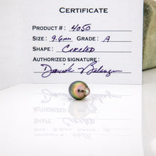 Load image into Gallery viewer, Civa Fiji Graded Pearl Earrings - Gold Plated FJD$
