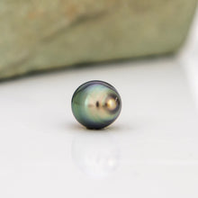 Load image into Gallery viewer, Civa Fiji Graded Pearl Earrings - Gold Plated FJD$
