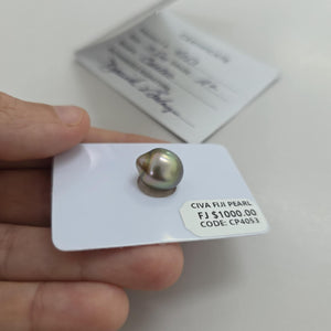 Fiji Loose Saltwater Pearl with Grade Certificate #4053 - FJD$