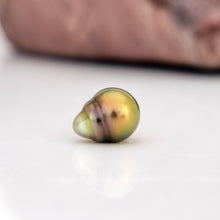 Load image into Gallery viewer, Civa Fiji Graded Pearl Earrings - Gold Plated FJD$
