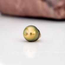 Load image into Gallery viewer, Civa Fiji Graded Pearl Earrings - Gold Plated FJD$
