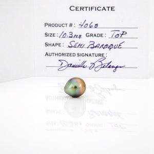 Fiji Loose Saltwater Pearl with Grade Certificate #4060 - FJD$