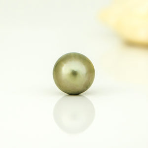 Fiji Loose Saltwater Pearl with Grade Certificate #4071 - FJD$