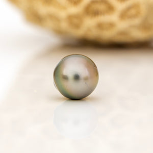 Fiji Loose Saltwater Pearl with Grade Certificate #4136 - FJD$