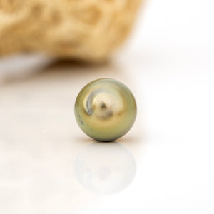 Fiji Loose Saltwater Pearl with Grade Certificate #4136 - FJD$