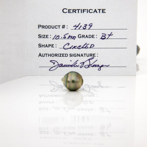 Fiji Loose Saltwater Pearl with Grade Certificate #4139 - FJD$