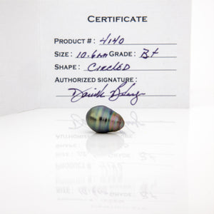 Fiji Loose Saltwater Pearl with Grade Certificate #4140 - FJD$