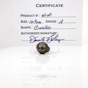 Fiji Loose Saltwater Pearl with Grade Certificate #4141 - FJD$