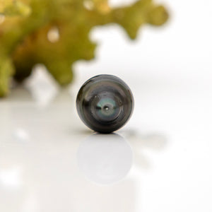 Fiji Loose Saltwater Pearl with Grade Certificate #4141 - FJD$