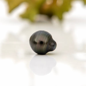 Fiji Loose Saltwater Pearl with Grade Certificate #4141 - FJD$