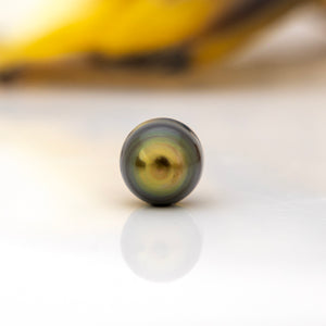 Fiji Loose Saltwater Pearl with Grade Certificate #4142 - FJD$